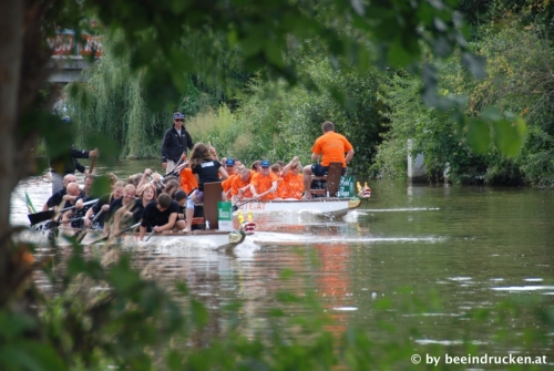 wai29repo-drach-action-einblicke-ruditeam