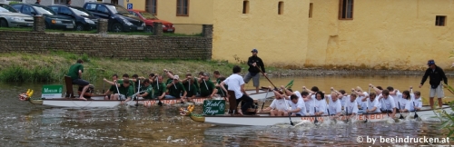 wai29repo-drach-action-stalleckervska