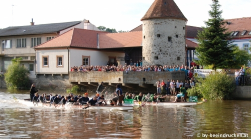wai29repo-drach-finale-beibesuchern